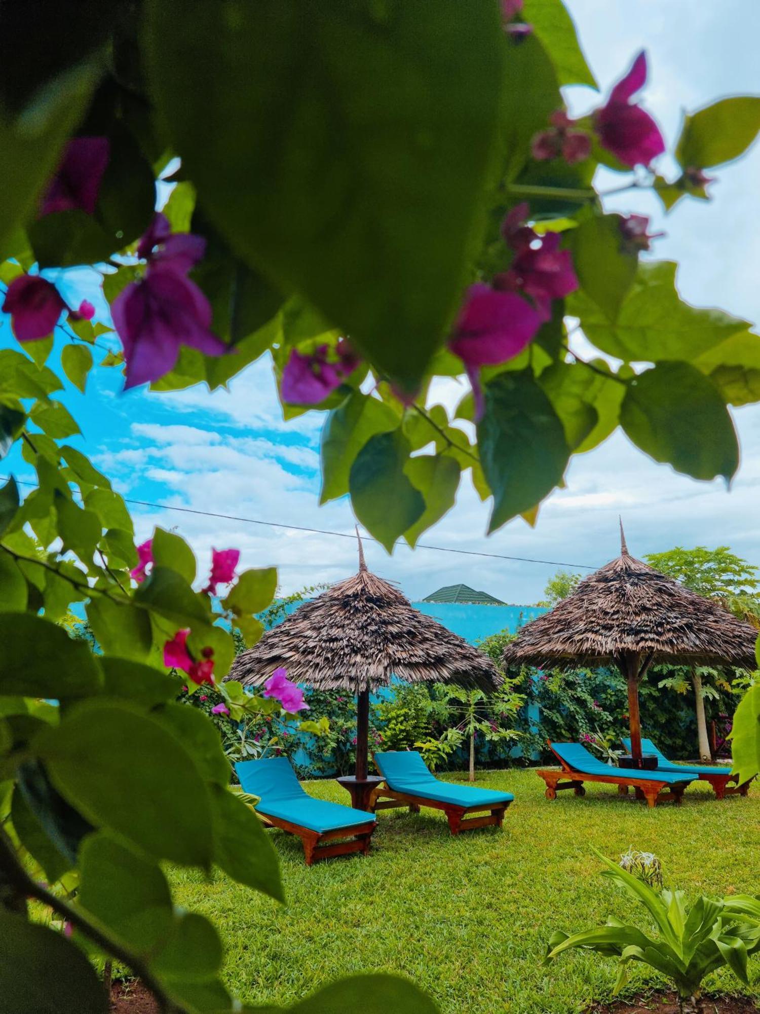 Pineapple House Bed & Breakfast Нунгви Екстериор снимка
